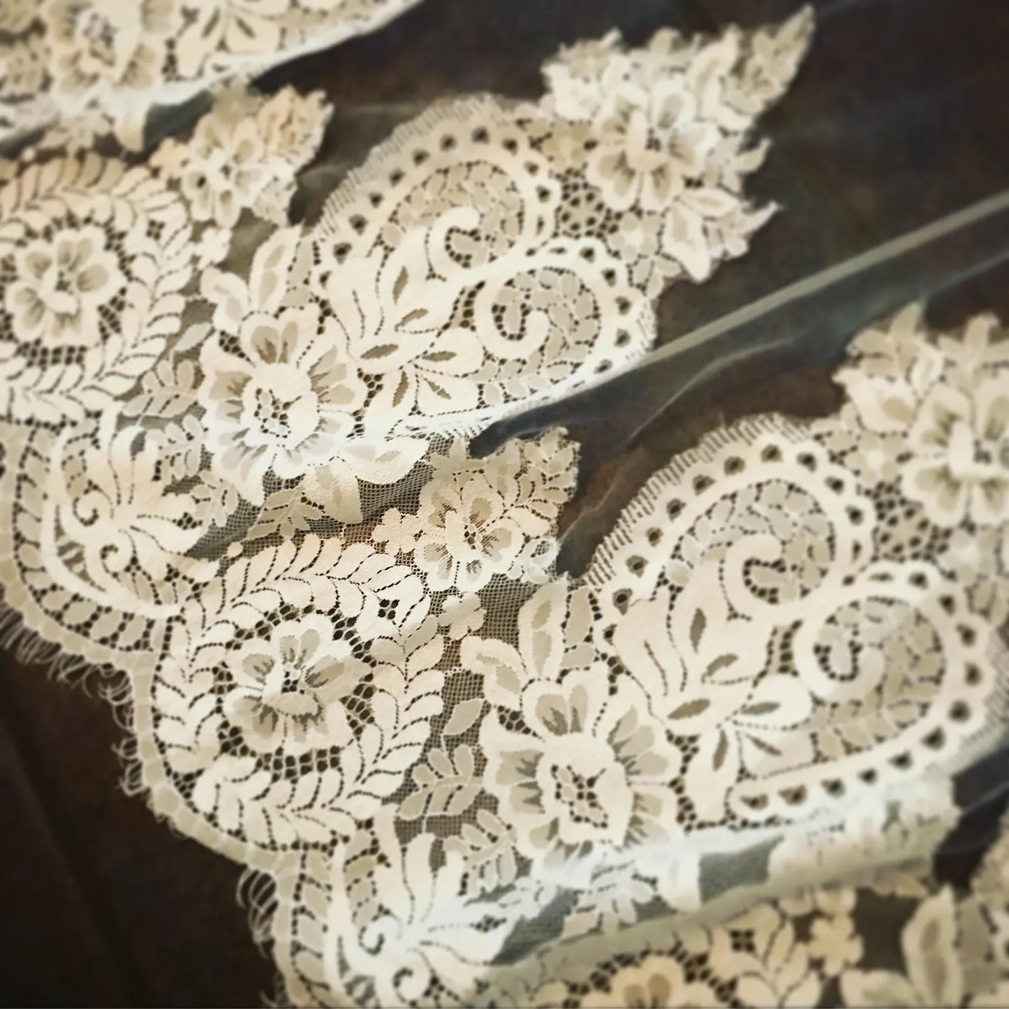 Wide Scallop Lace Royal Veil - A.Cherie Couture Shop