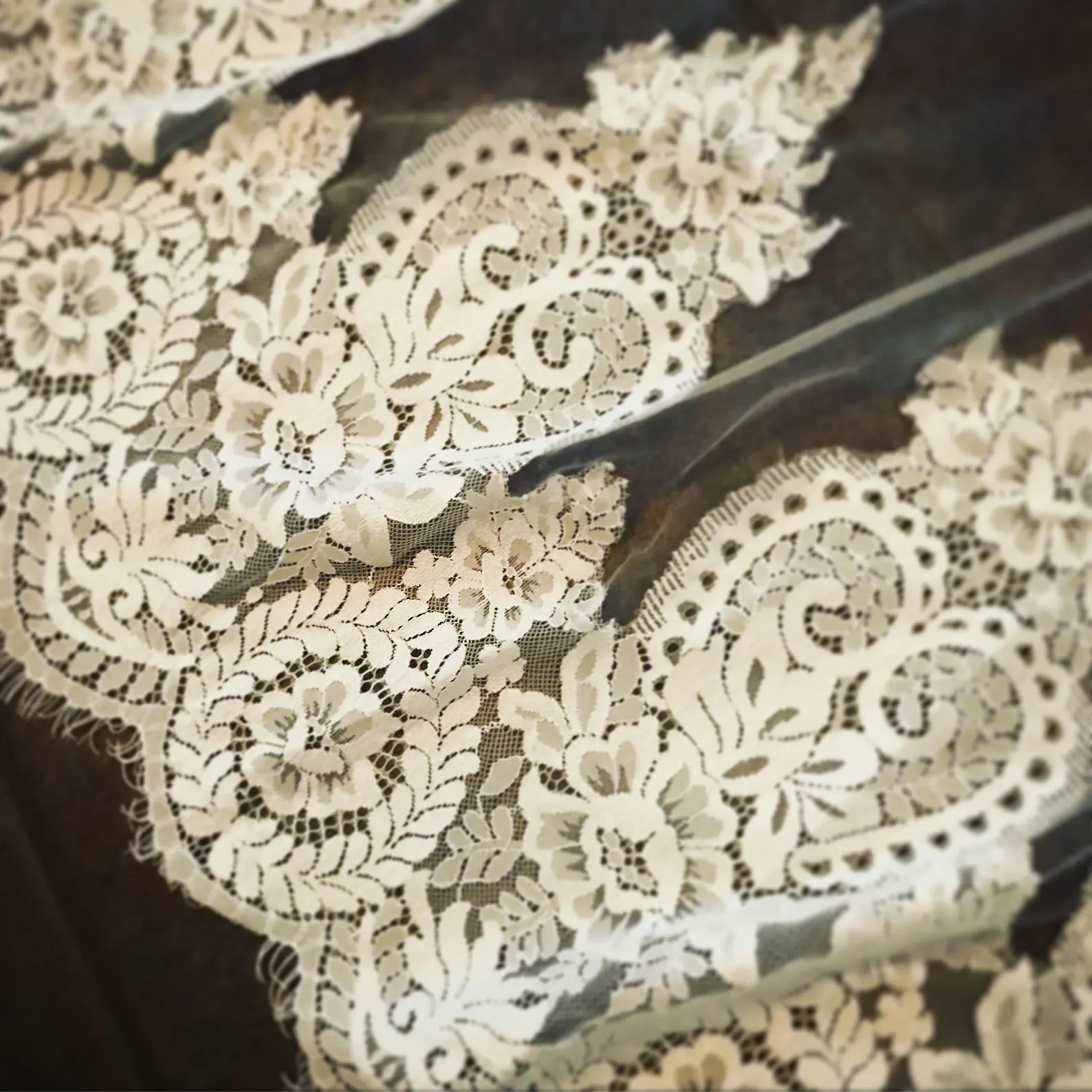 Wide Scallop Lace Royal Veil - A.Cherie Couture Shop