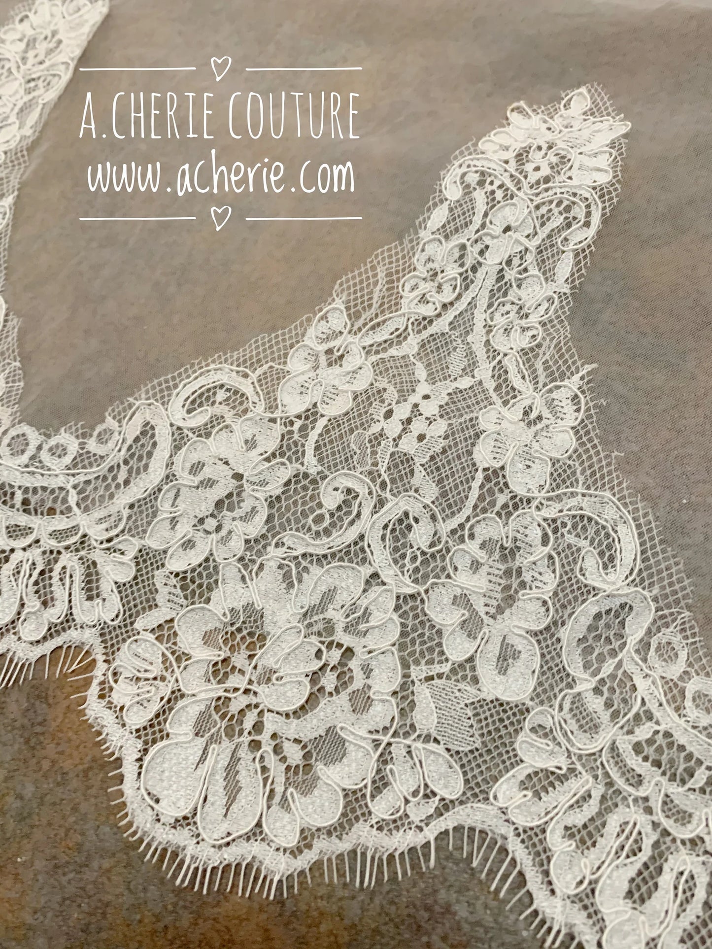 Wide Scallop Lace Cathedral Veil - A.Cherie Couture Shop